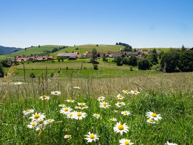 Stadt oder Land: Wo ist Wohnen günstiger?